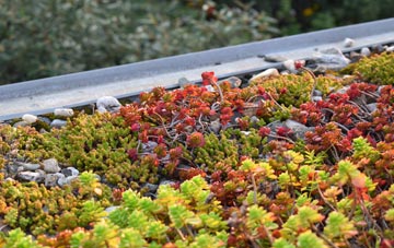 the cost of Sutton Heath green roof installation