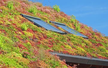 Sutton Heath living roof systems